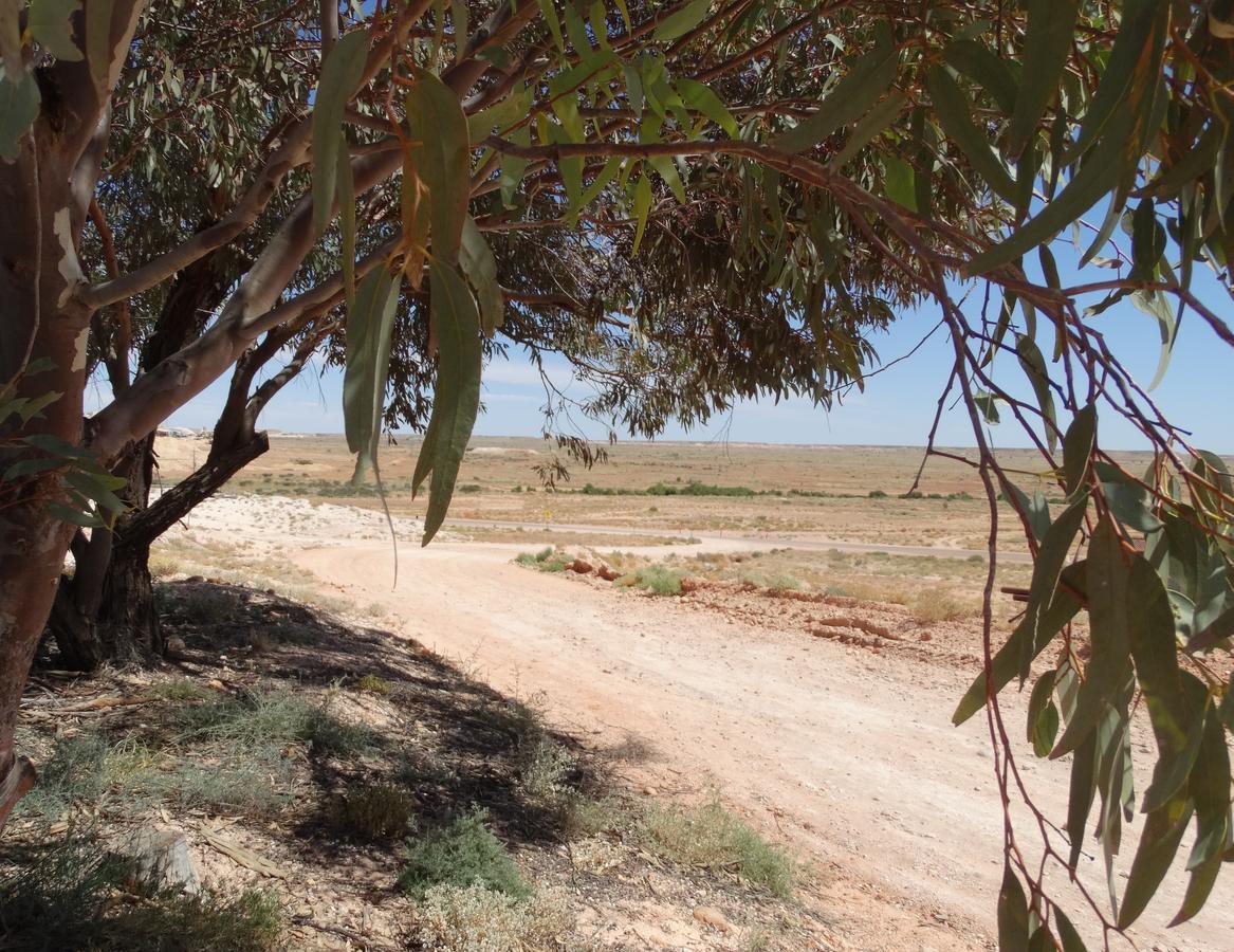 Dinky Di'S Dugout Villa Coober Pedy Dış mekan fotoğraf
