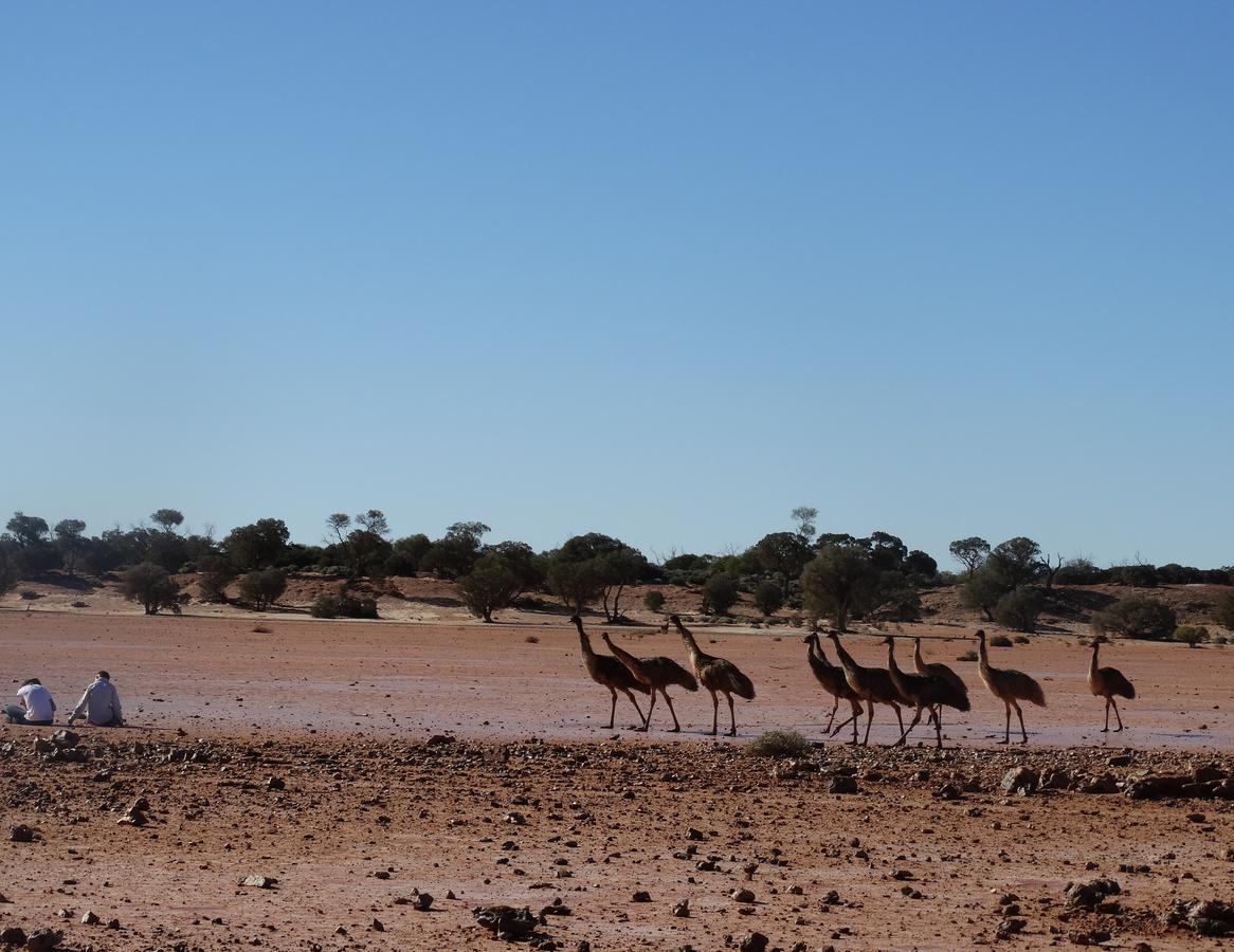Dinky Di'S Dugout Villa Coober Pedy Dış mekan fotoğraf